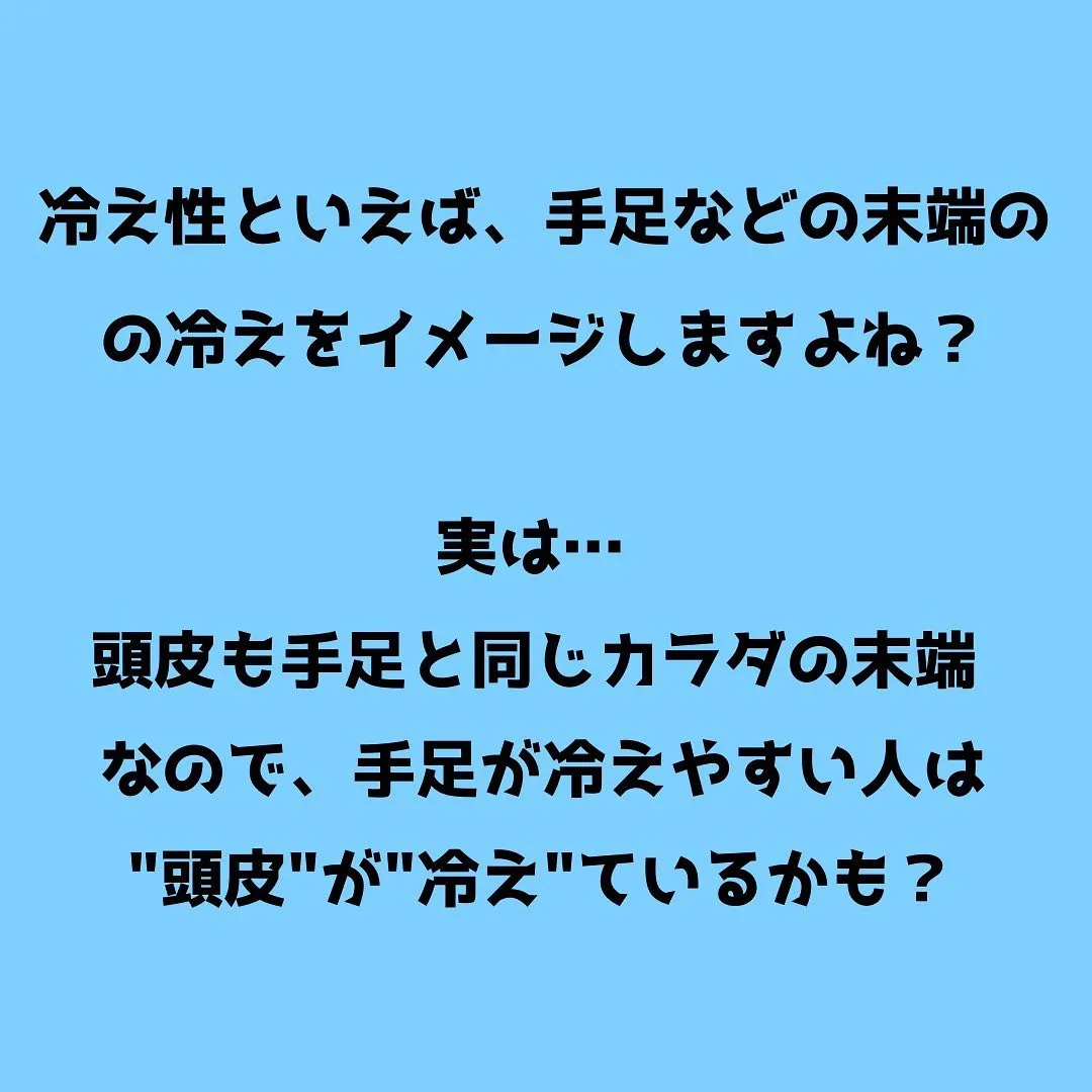 寒くなりましたね…